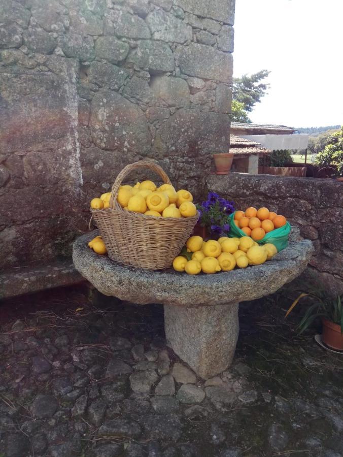 Casa Do Balcao Konuk evi Alcains Dış mekan fotoğraf