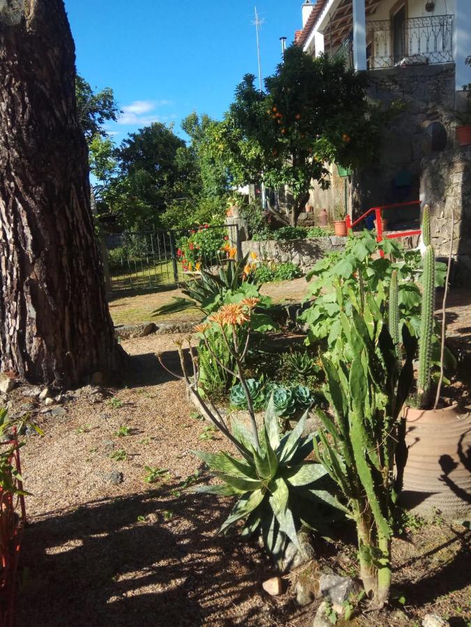 Casa Do Balcao Konuk evi Alcains Dış mekan fotoğraf